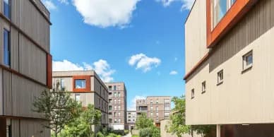Architects & Design Firms