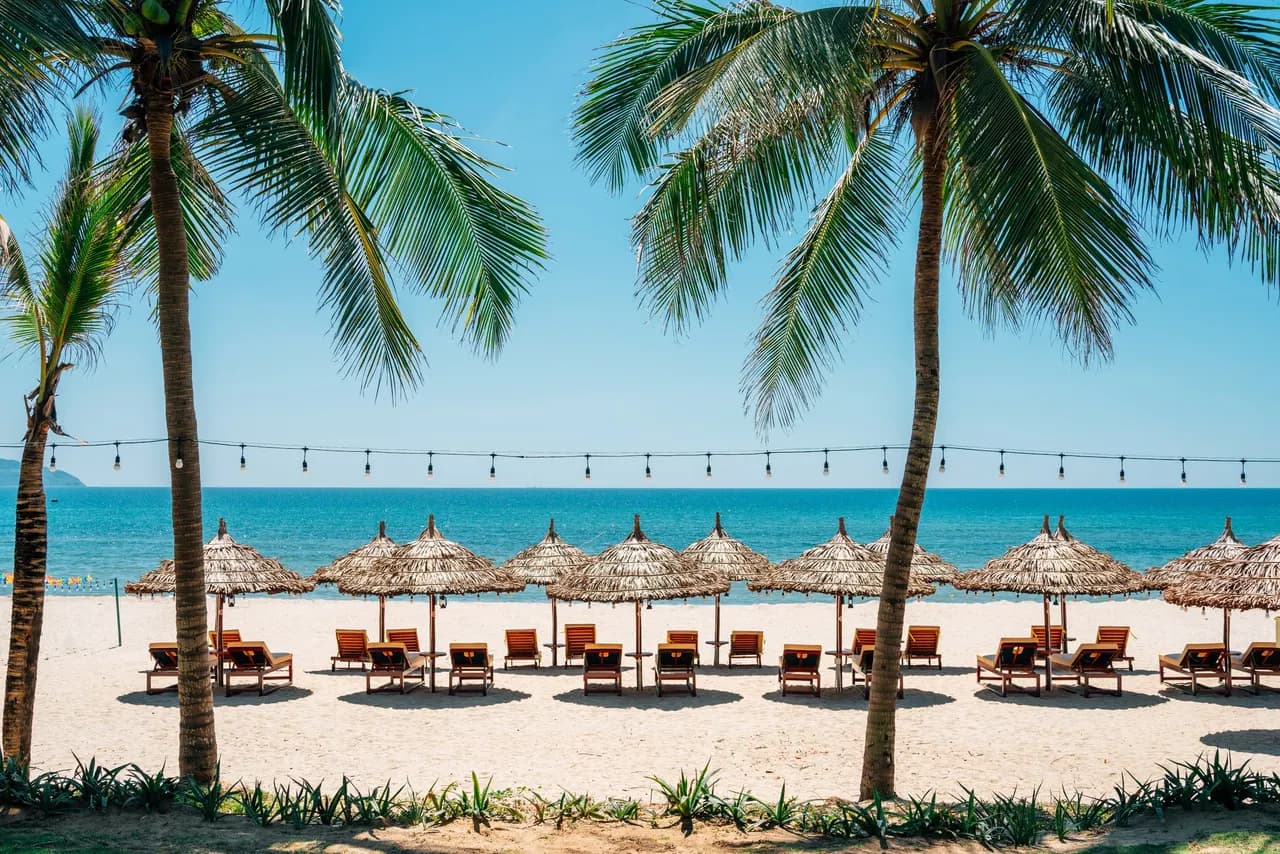 Resort Marketing Assets